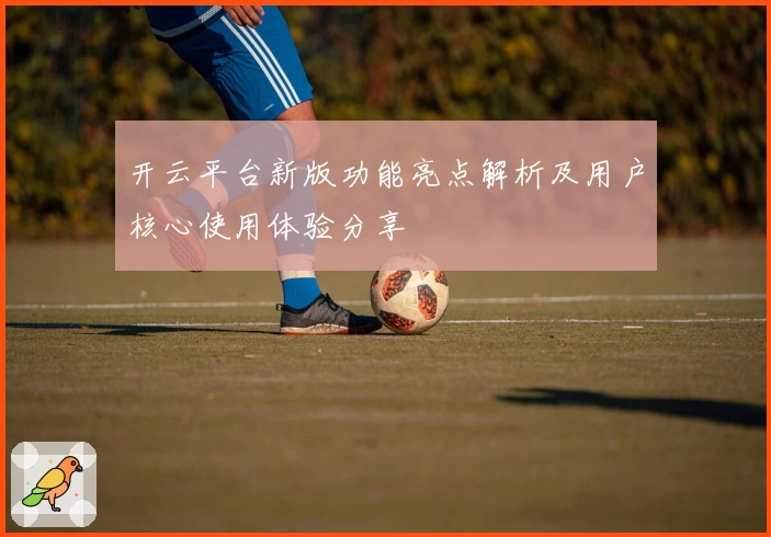 开云平台新版功能亮点解析及用户核心使用体验分享