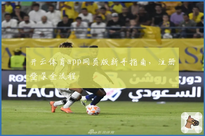 开云体育app网页版新手指南，注册登录全流程