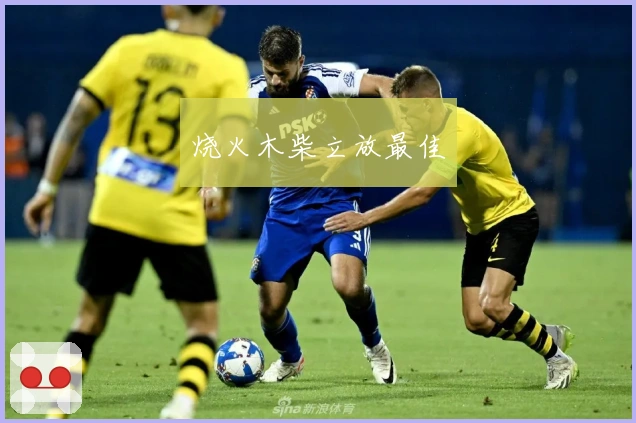 烧火木柴立放最佳