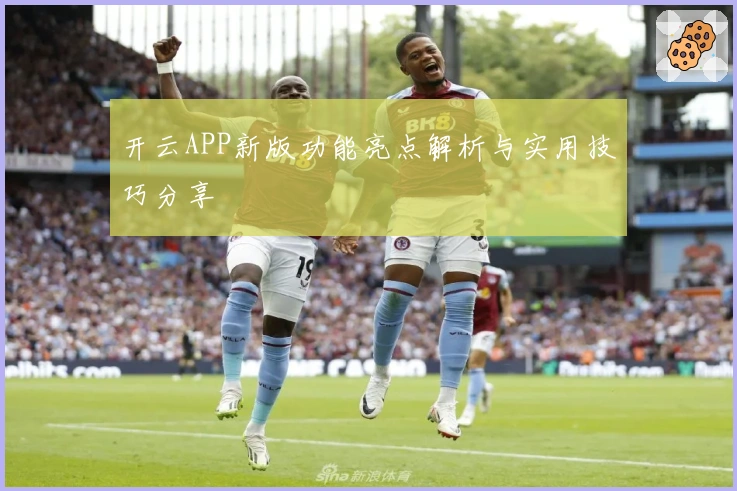 开云APP新版功能亮点解析与实用技巧分享